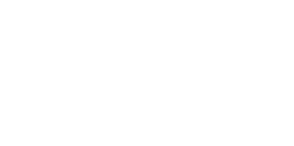 Social Goose